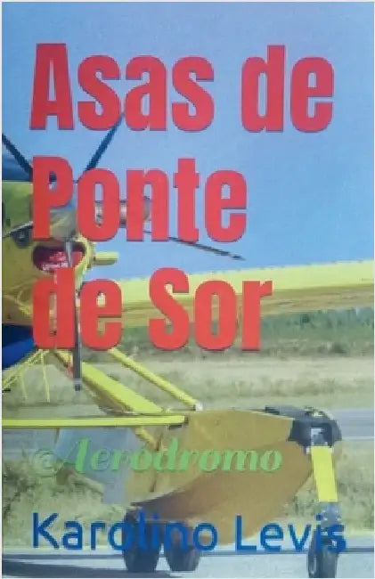 Asas de Ponte de Sor by Levis, Karolino
