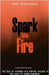 Spark Little Fire by Pinel Motswagole