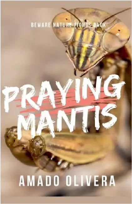 Praying Mantis by Amado Olivera