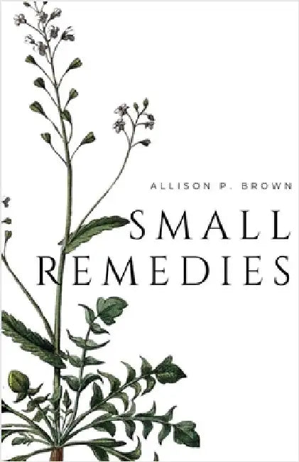 Small Remedies by Allison P. Brown