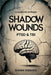 Shadow Wounds: Understanding PTSD and TBI in Military Veterans by Shawn Hibbard