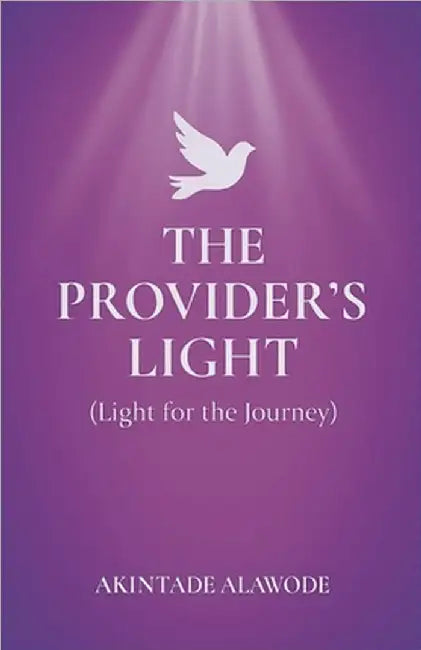 The Provider's Light by Akintade Alawode