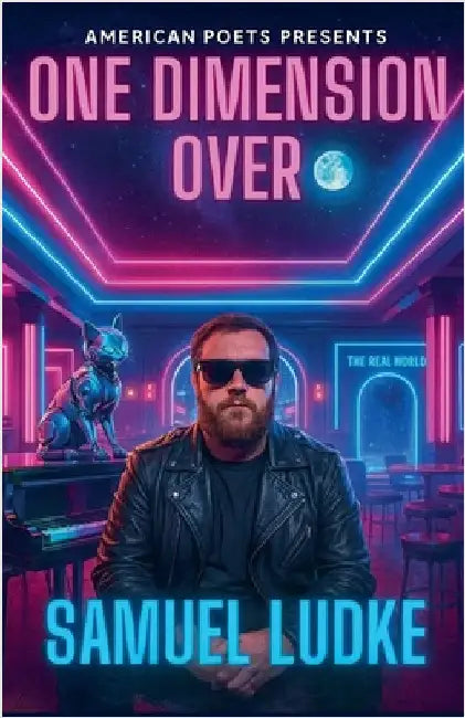 One Dimension Over by Ludke, Samuel