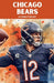 Chicago Bears Alternate History by Alternate History