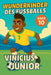 Wunderkinder des Fußballs: Vinícius Júnior by Harald Sesselmann