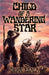 Child of a Wandering Star by Derin Edala