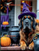 The Halloween Howl by McLean, Sherry