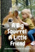 A Big Squirrel A Little Friend by Shanmugasundaram Natarajan
