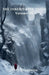 Drachenfels - Covenant of Shadows by Terry Broullette
