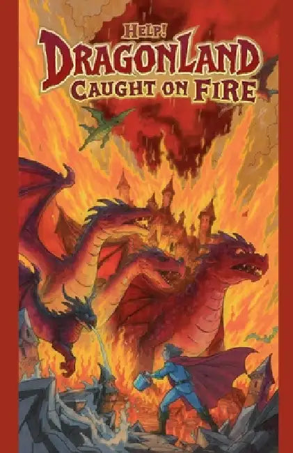 Help! Dragonland Caught on Fire by Tahira Kiran
