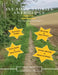 All Your Stories Anthology March 2026 by Storm Grayson