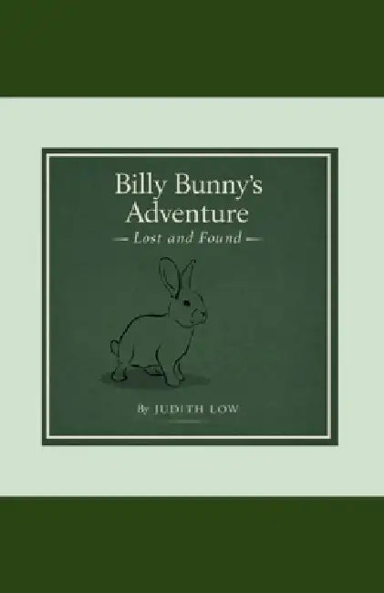Billy Bunny's Adventure Lost and Found by Judith Low