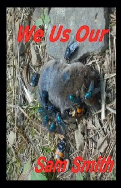 We Us Our by Sam Smith