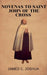 Novenas To Saint John Of The Cross by James C. Joshua