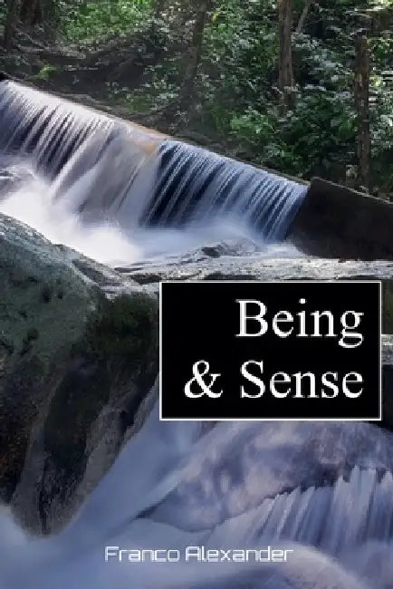 Being & Sense by Franco Alexander