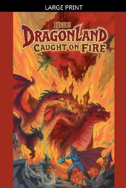 Help! Dragonland Caught on Fire by Tahira Kiran