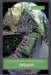 Haunted and Paranormal: Oregon by Marques Vickers