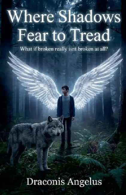 Where Shadows Fear to Tread by Draconis Angelus