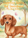 Dazzling Dottie the Dachshund by Alex Kelley