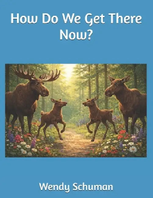 How Do We Get There Now? by Wendy Schuman