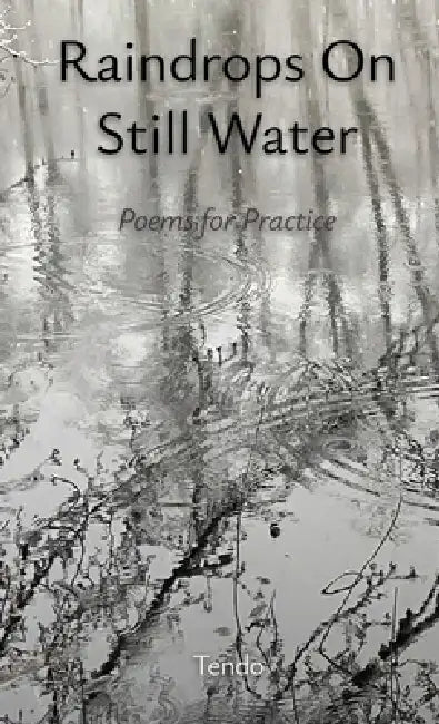 Raindrops on Still Water: Poems for Practice by Tendo