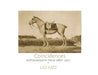 Coincidences The Leo Katz autobiography until 1921: Leo Katz Autobiography by Leo Katz, Lisa Wadge