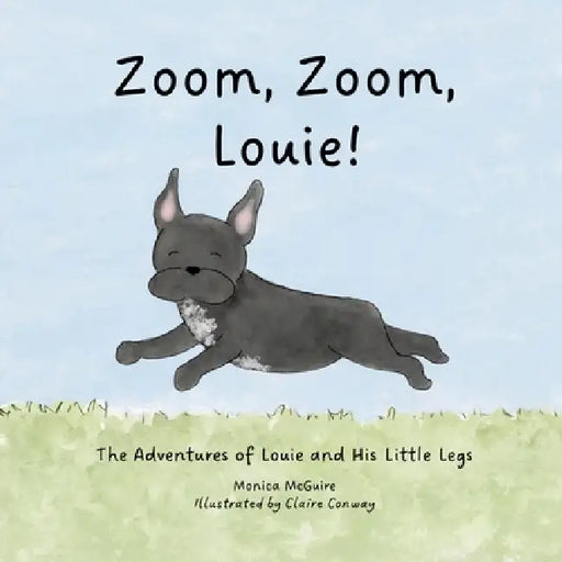 Zoom, Zoom, Louie! by McGuire, Claire Conway