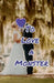 To Love a Monster by Jessica Sarrett