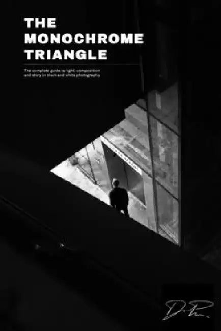 The Monochrome Triangle: The Complete Guide To Light, Composition And Story In Black And White Photography by Darren Pellegrino