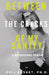 Between the Cracks of My Sanity by Orli Koshet