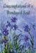 Contemplations of a Bandaged Soul: A Memoir and Other Thoughts Told Through Essays by Vera Padgett