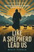 Like a Shepherd Lead Us: Servant Leadership Lessons from Psalm 23 by Billy Tingle