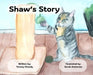 Shaw's Story by Tammy Sheedy, Sarah Gutierrez