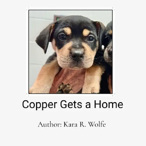 Copper Gets a Home: A Decodable Text by Kara R. Wolfe