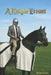 A Knight Errant by Barry Irwin