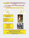 2026 College Football Handicapping Bible by Steve Fulton