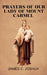 Prayers Of Our Lady Of Mount Carmel by James C. Joshua