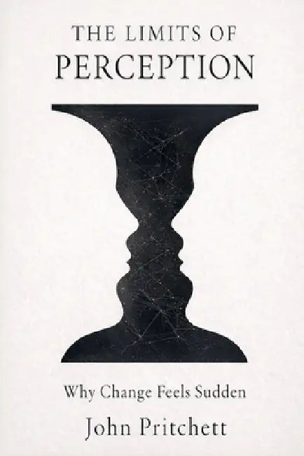 The Limits of Perception: Why Change Feels Sudden by John Pritchett