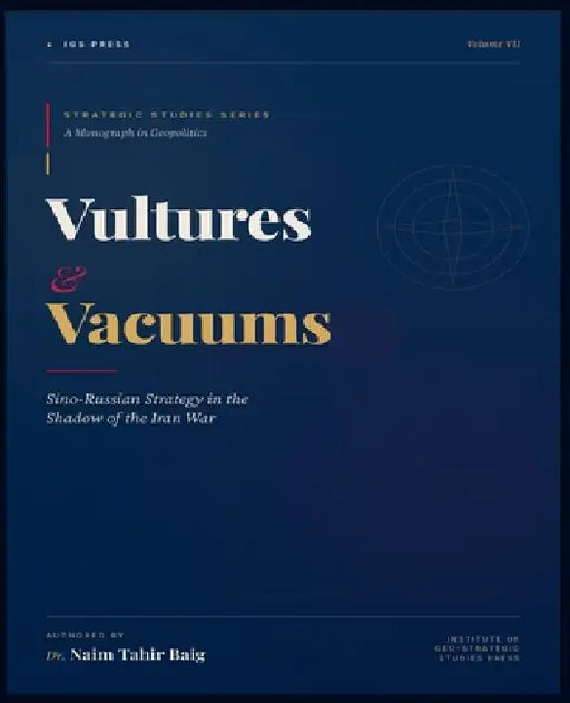 Vultures and Vacuums by Naim Tahir Baig
