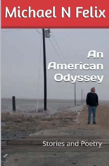 An American Odyssey by Michael N. Felix