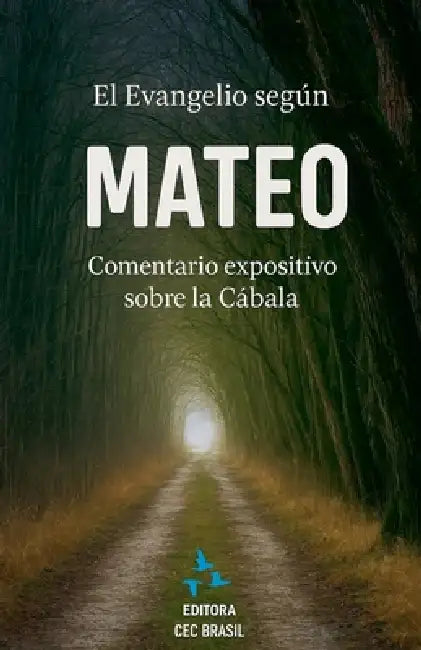 El Evangelio según Mateo: Un comentario expositivo a través de la Cábala. by José Luiz de Sousa Neto