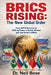 BRICS Rising: The New Global Order: From NATO Divisions to Shifting Power in Russia- Ukraine and Iran-Israel Conflicts by Neil Bose