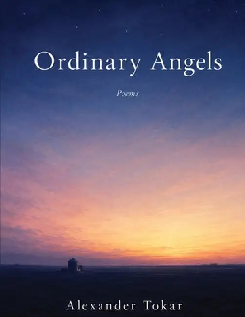 Ordinary Angels by Alexander Tokar