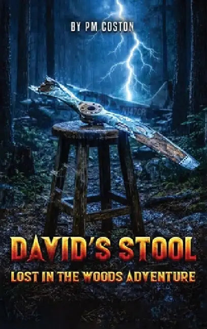 David's Stool by Pm Coston