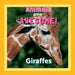 Animals are Awesome: Giraffes by Dacia Turner