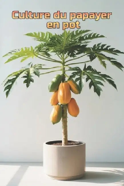 Culture du papayer en pot: Guide complet étape par étape pour cultiver des papayes chez soi ou en appartement: de la plantation à la récolte (fruits) by Svitana