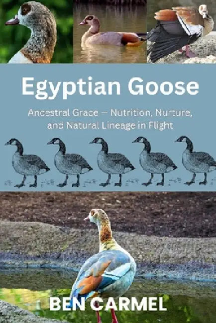 Egyptian Goose: Ancestral Grace - Nutrition, Nurture, and Natural Lineage in Flight by Sophie Brown, Ben Carmel