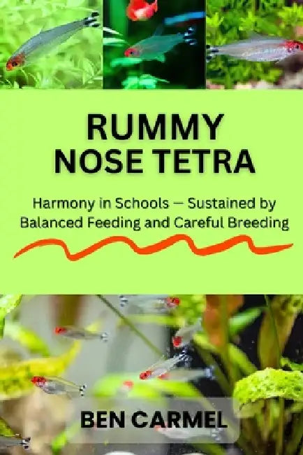 Rummy Nose Tetra: Harmony in Schools - Sustained by Balanced Feeding and Careful Breeding by Sophie Brown, Ben Carmel