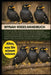 Mynah Vogelhandbuch: Alles, was Sie über die Haltung sprechender Vögel wissen müssen - Artenwahl, Weichschnabel- und eisenverträgliche Ernährung, Voli by Leonie D. Montanari