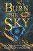 Burn the Sky by Addison Moore